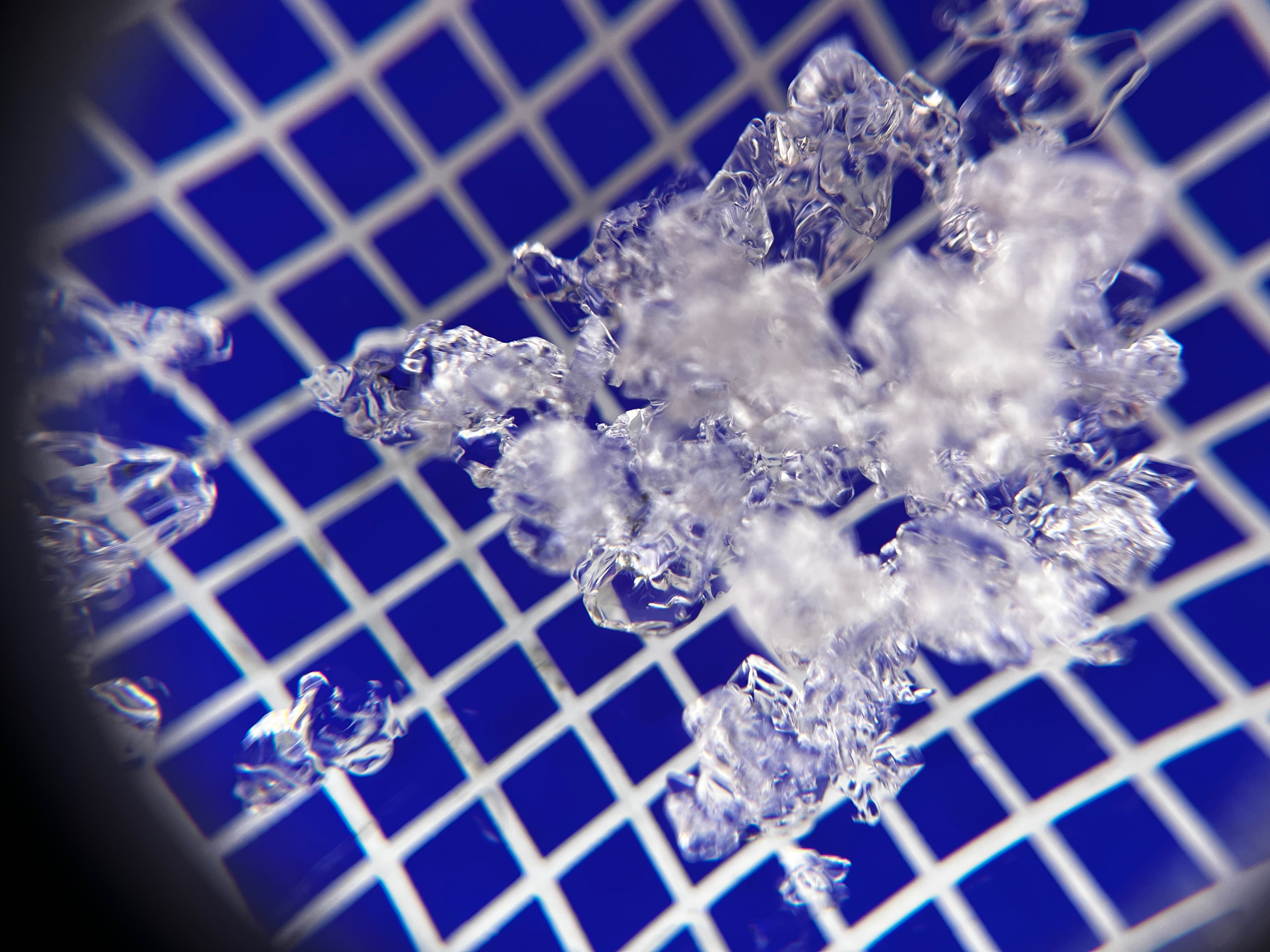 Snow profile magnified